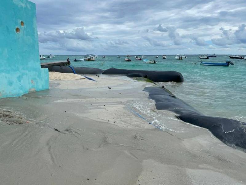 A verificación obras realizadas en zona federal en Playa del Carmen