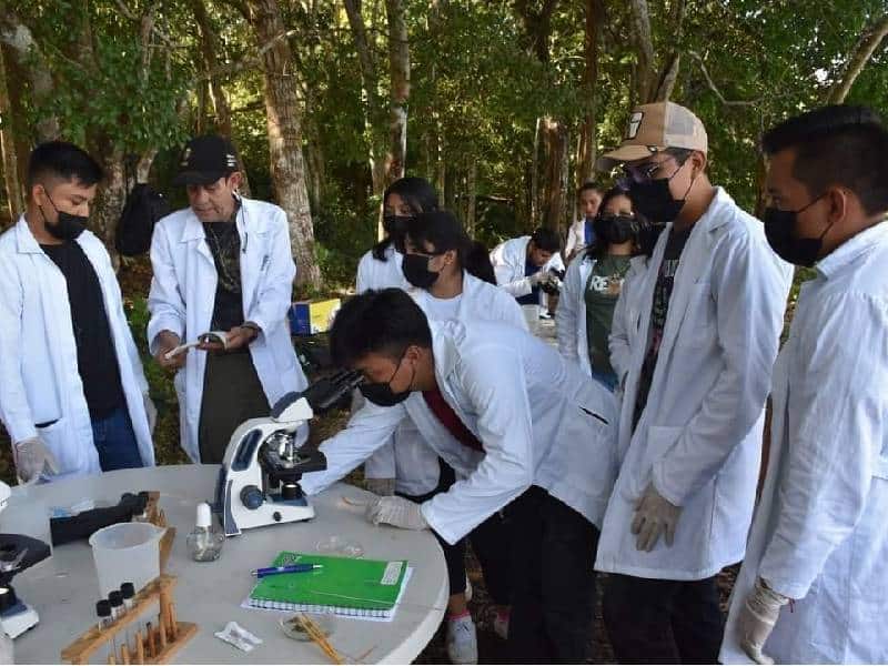 Alumnos realizan prácticas y estudios en laguna Chichankanab