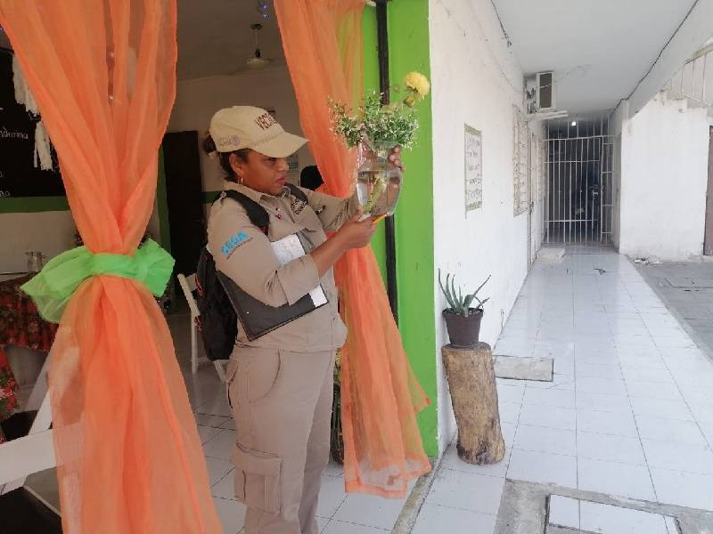 Aumentaron casos de dengue en la zona norte