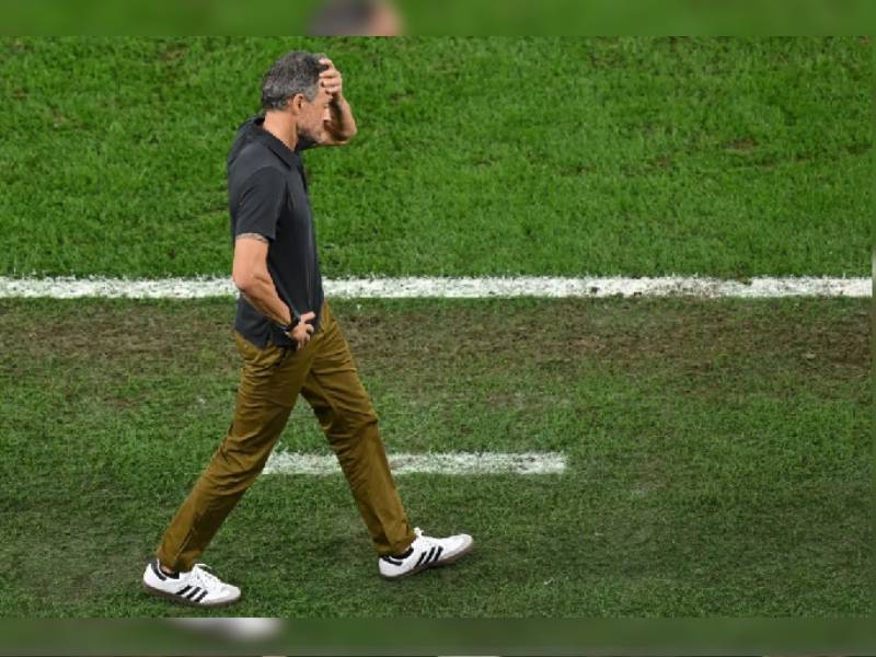 De la Fuente, el relevo de Luis Enrique en España