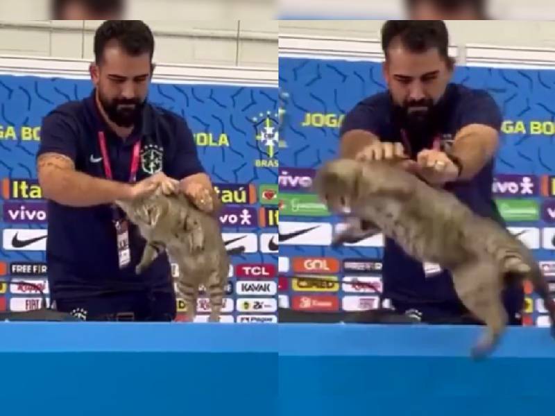 La Confederación Brasileña de Futbol recibe denuncia tras suceso con el gato del Mundial