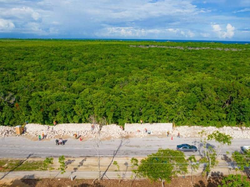 Lanza Sedatu licitación para el parque del Jaguar