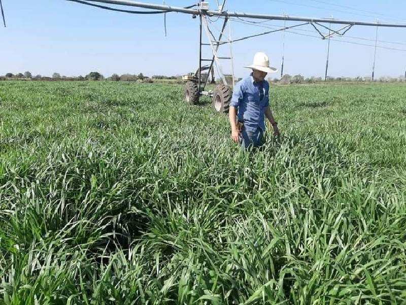 Es el tiempo de la zona rural:Sedarpe