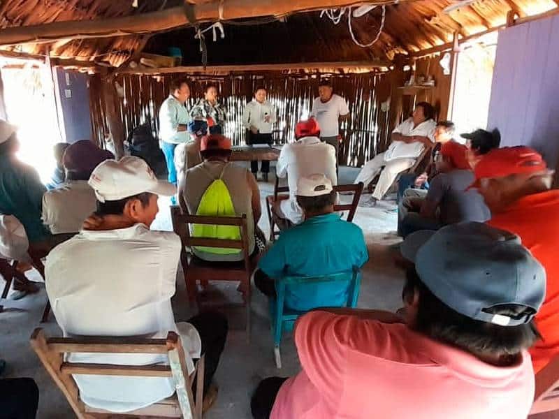 Proyecto de captura de carbono beneficiará a 300 ejidatarios de Felipe Carrillo Puerto