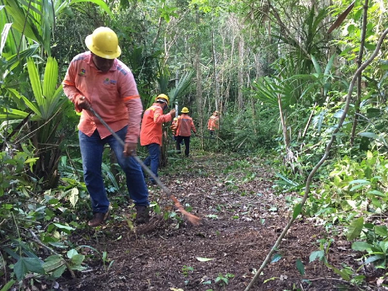 Invertirán 71 mdp en protección y conservación forestal