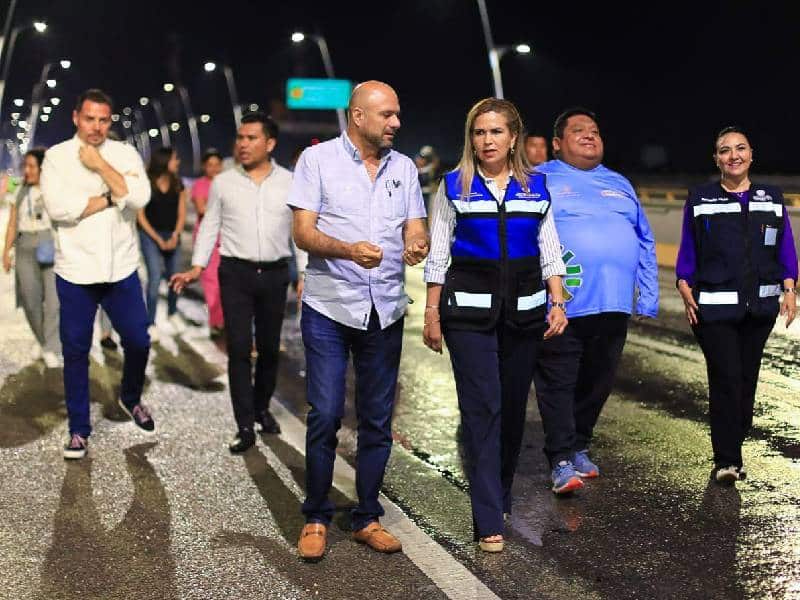 Lili Campos renueva la iluminación en puente a desnivel
