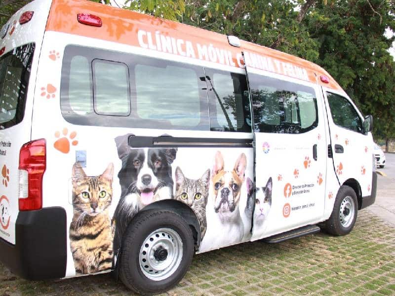 Cancún cuenta con Unidad Médica Móvil para atención de animales domésticos