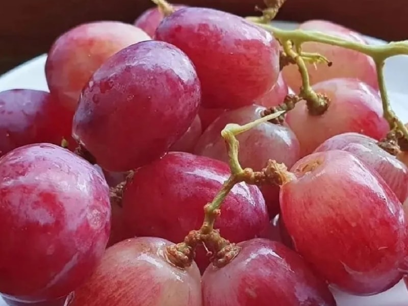 frutas