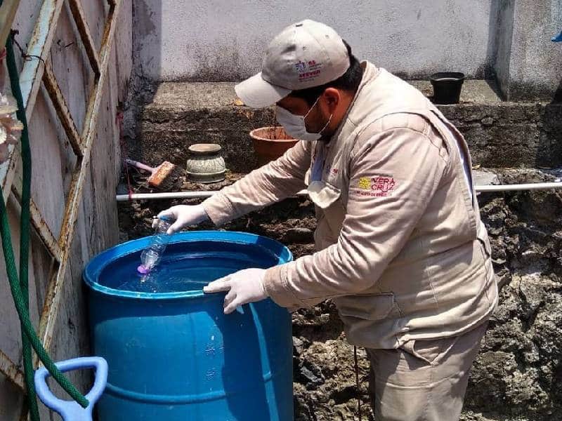 Limpieza, arma en contra del dengue