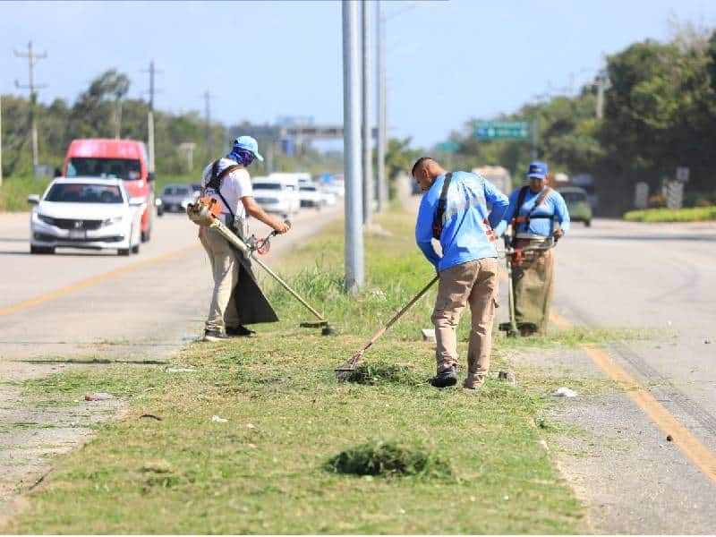 Gobierno refuerza limpieza en tramos carreteros