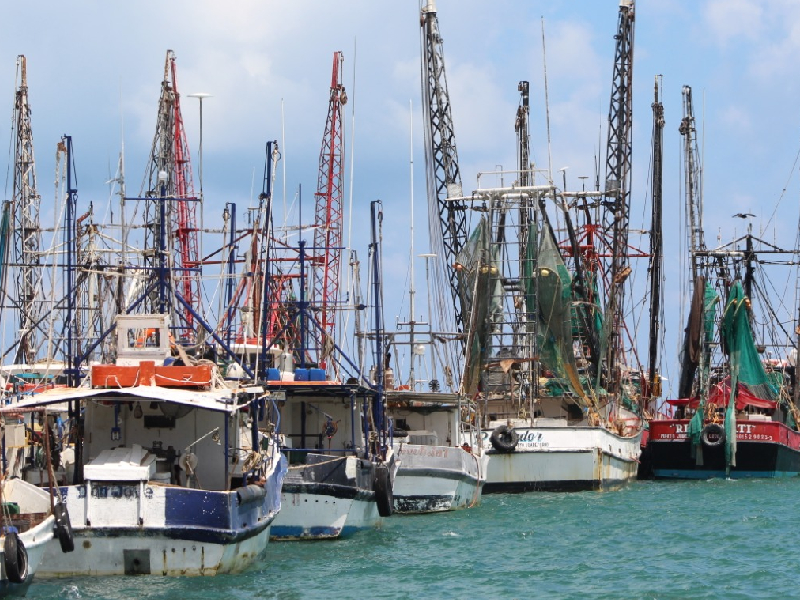 Piden actualización de padrón de pescadores