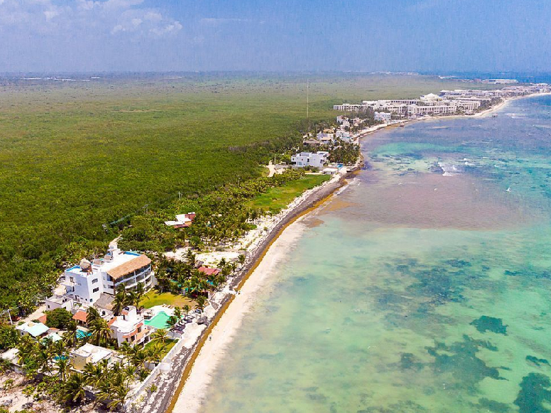 Presencia mínima de sargazo en las playas