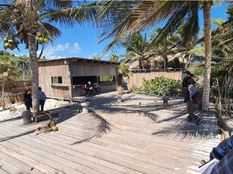 Catean predio en Tulum por delitos contra la biodiversidad y el medio ambiente