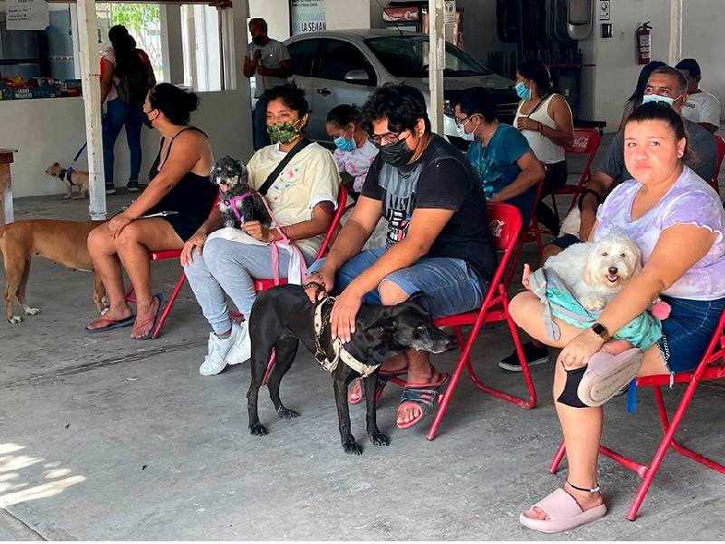 Edil destaca ventajas del empadronamiento de mascotas