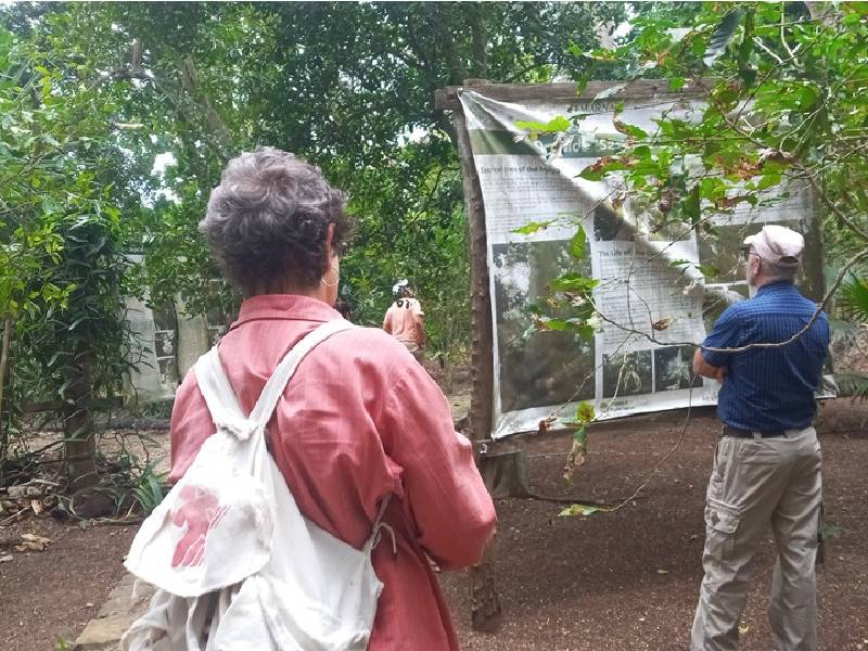 Turismo "botánico" revive económicamente a Solferino