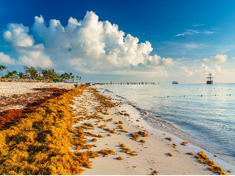 Sargazo rompe hito en temporada baja