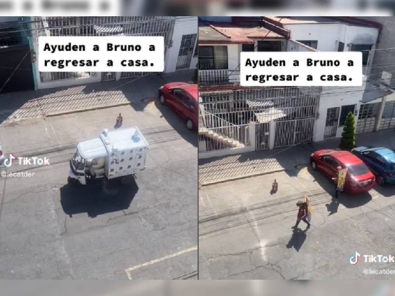 “A comer Bruno” Con megáfono y coche familia busca a su perrito