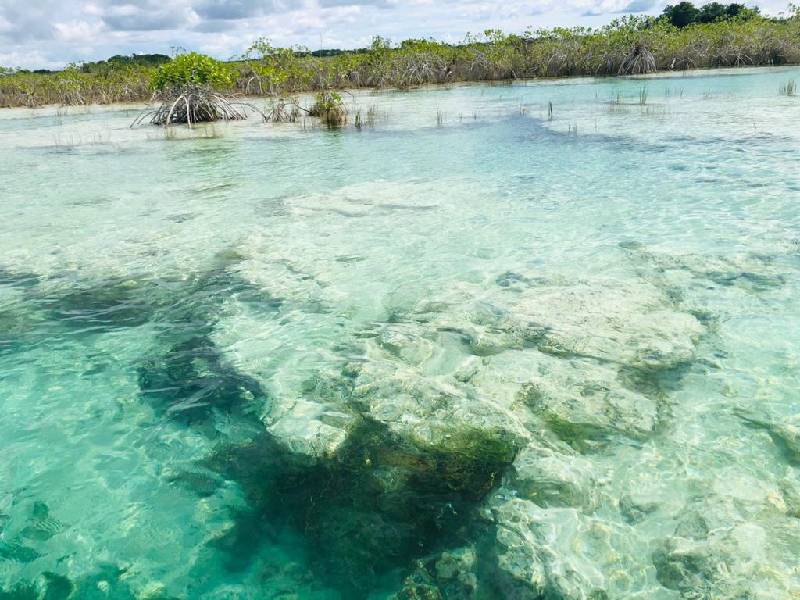 Aplican monitoreo ambiental a Laguna de Bacalar