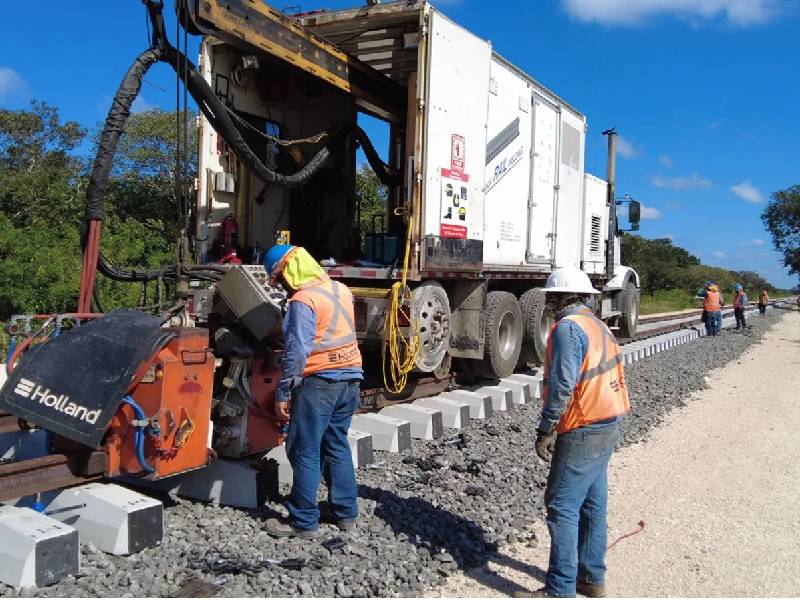 Trabajadores del Tren Maya se contagian con leishmaniasis