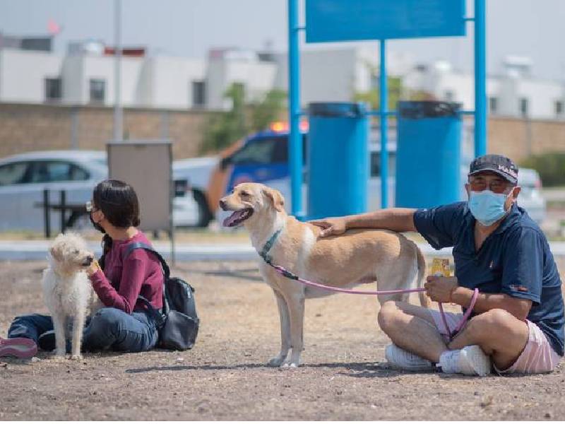 En Marzo iniciaría el registro de mascotas en Cancún