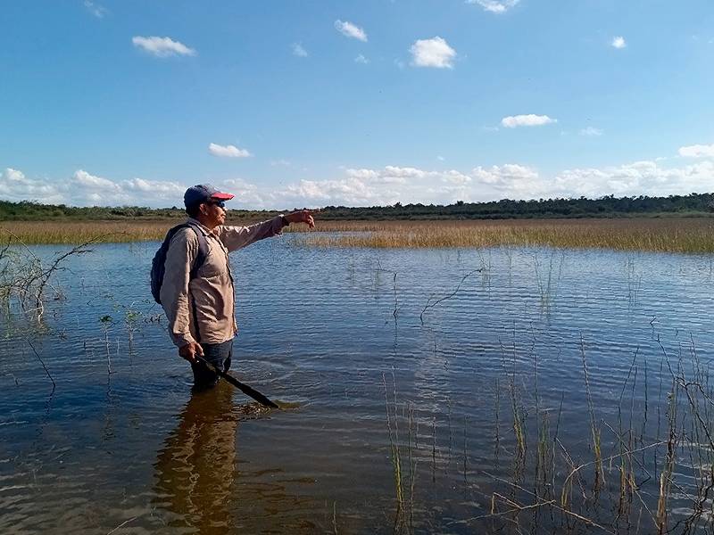 Ganaderos prevén riesgos por escasez de agua