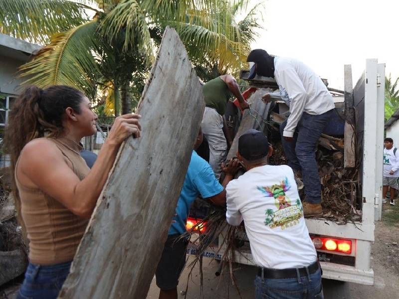 Vigilancia permanente para prevenir dengue, zika y chikungunya