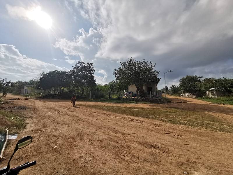 Marginadas, familias al norte de Chetumal