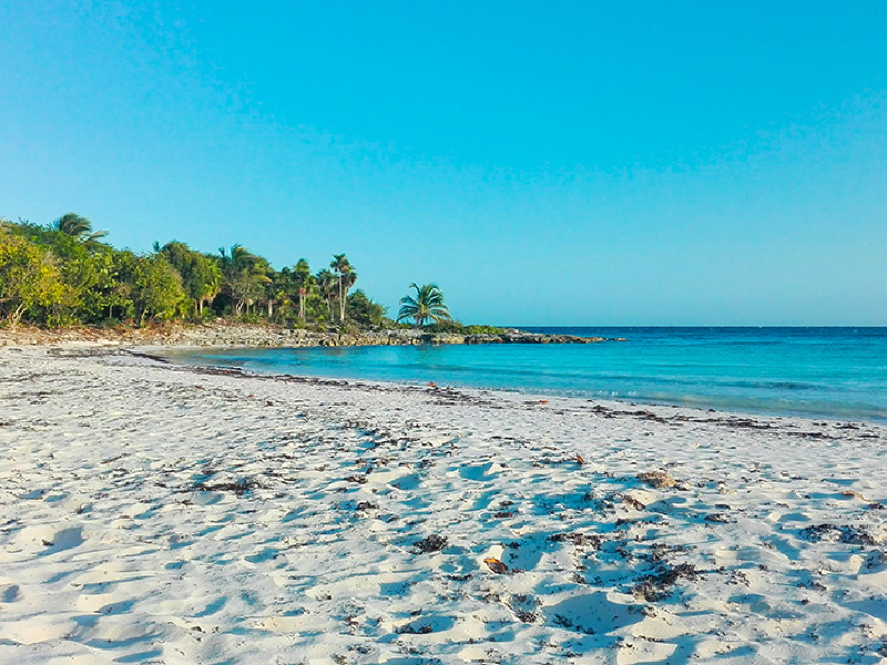 Traerá Semana Santa bonanza a hoteleros