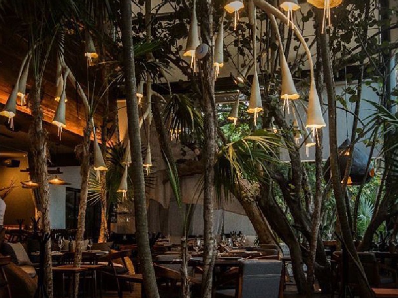 El mágico restaurante en Tulum del que todos hablan_ BAK´