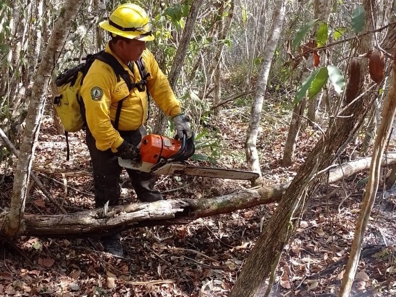 Implementarán software para prevenir incendios
