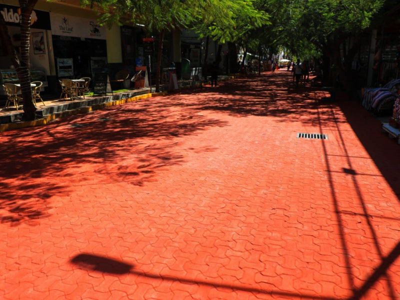 Lili Campos continúa con el embellecimiento de la Quinta Avenida