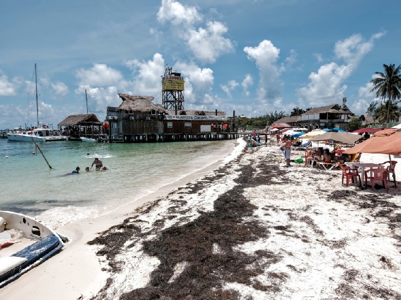 Limpiar sargazo cuesta 1.5 mdd por kilómetro