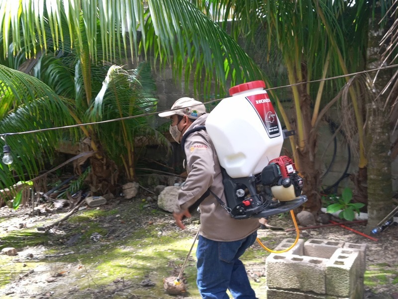 Piden evitar subestimar al dengue