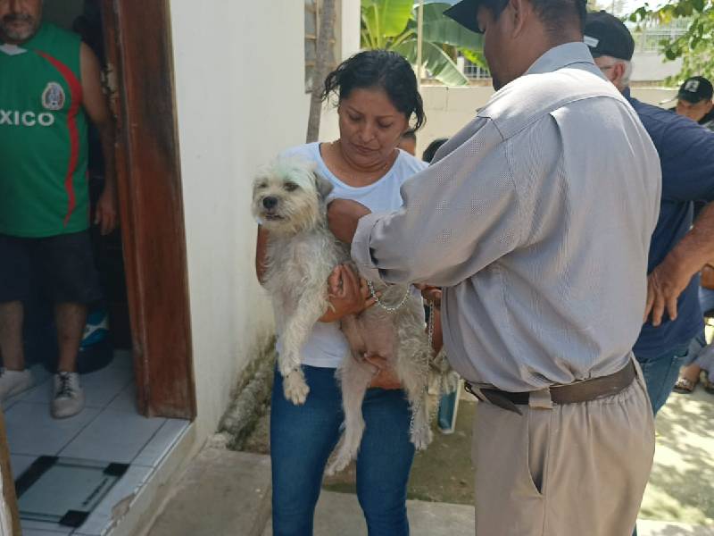 Exitosa, esterilización de mascotas en OPB