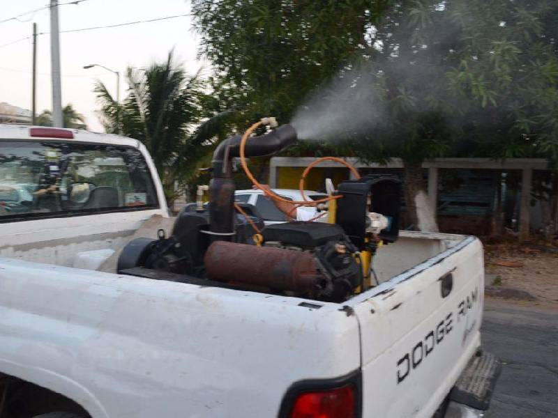 Iniciarán fumigaciones contra moscos