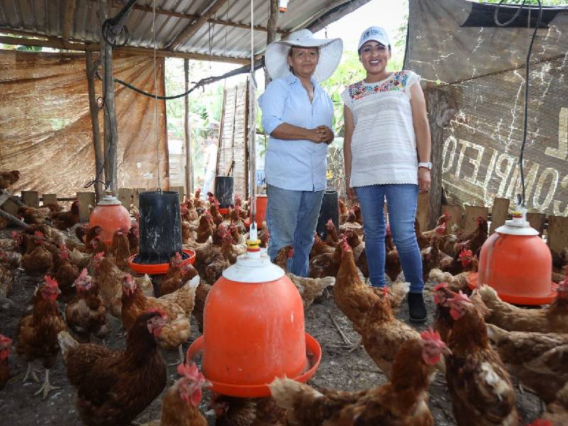 Promueven en Puerto Morelos el gastroturismo como opción para fortalecer la zona