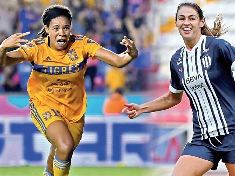 tigres