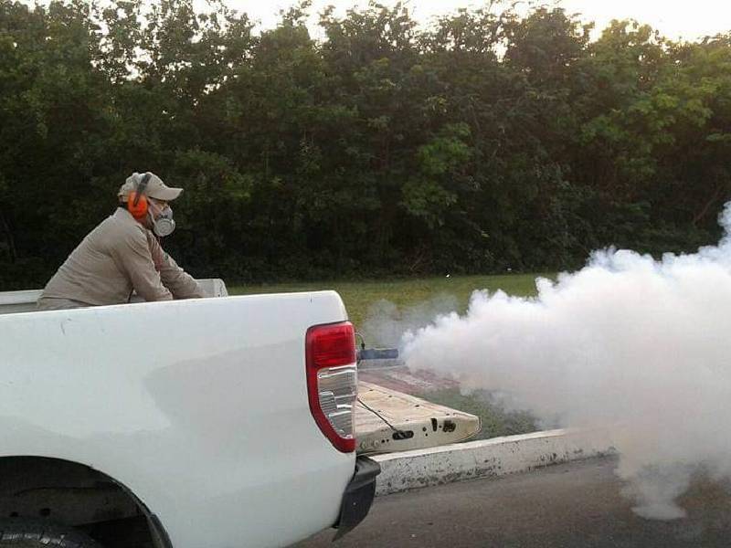 Q. Roo, primer lugar nacional en casos de dengue