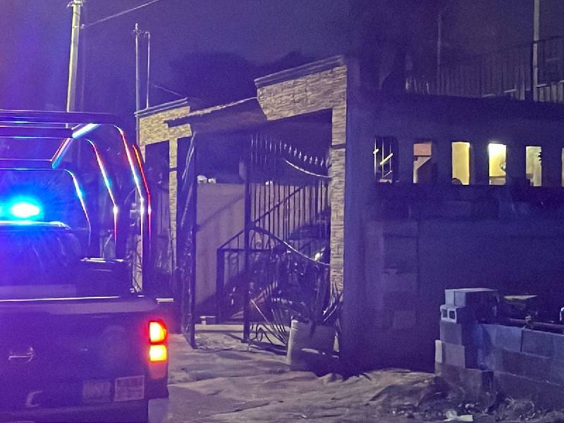 Fallece joven en Cancún por picadura de abejas