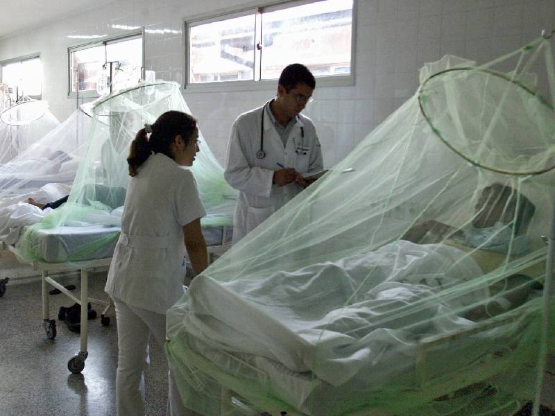 Lidera Q. Roo casos de dengue