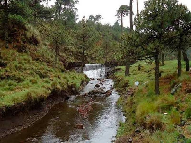 El senderismo urbano, una opción para disfrutar la CDMX