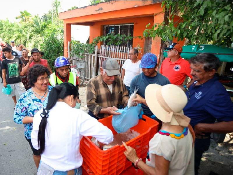 Reparten gratis una tonelada de pescado donado por una cooperativa