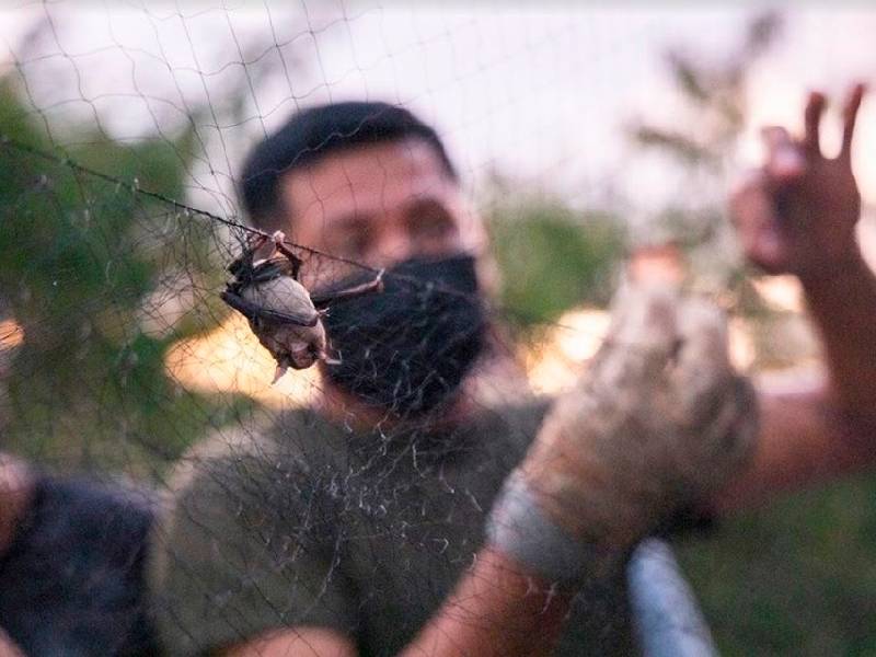 Cinvestav trabajará en cuevas de Murciélagos en Cancún