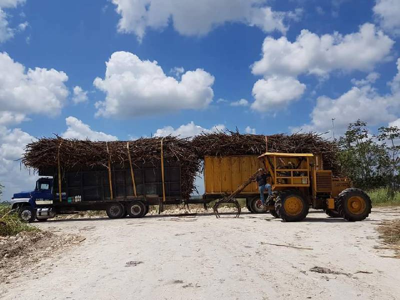 Industria cañera requiere 280 kilómetros de caminos