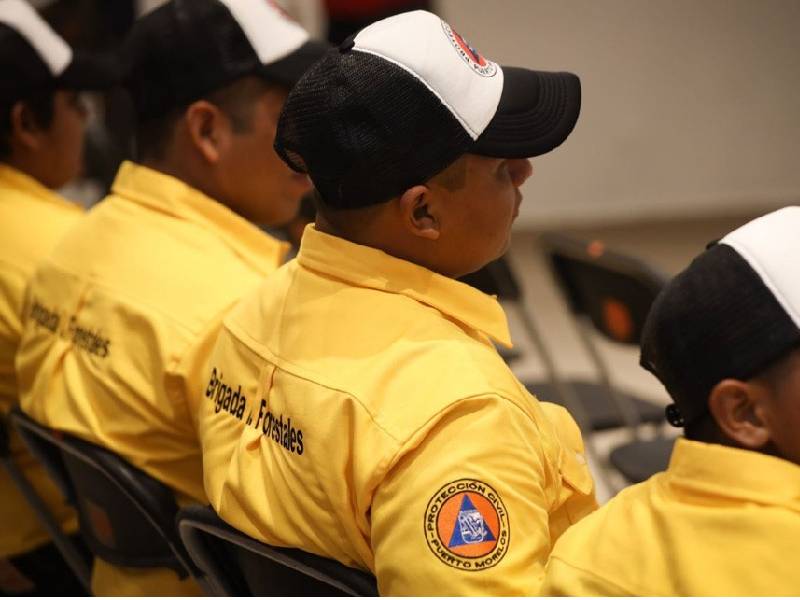 Llamado a proteger las zonas forestales de Puerto Morelos