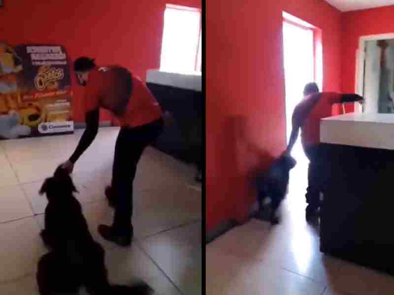 VIDEO: ¡A jalones! Empleado de Cinemex saca a perrito del cine