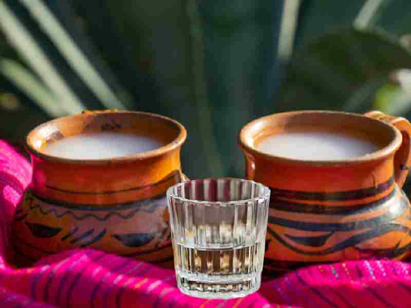 festival del pulque