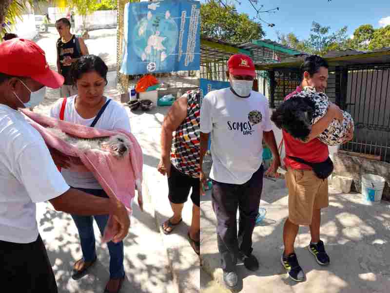 Intensifican esterilización de fauna callejera