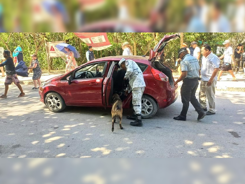 El Parque del Jaguar, bajo resguardo de la Guardia Nacional