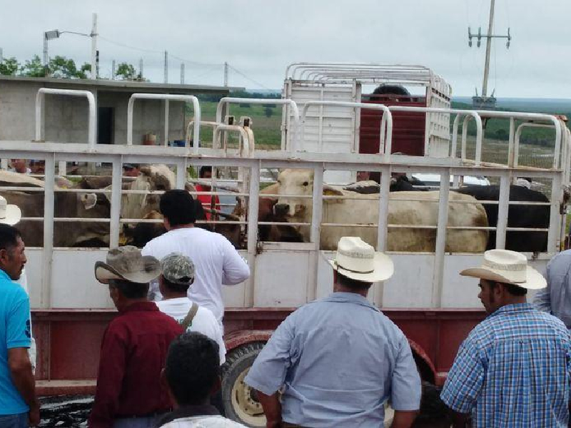 Promueve menor consumo de carnes rojas, por daño al medio ambiente